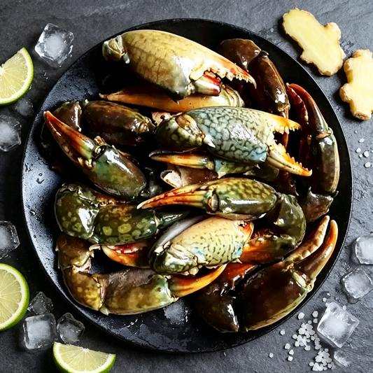 Mud Crab